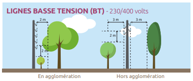 Les distances à respecter pour l'élagage des lignes basse tension