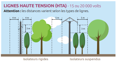 Les distances à respecter pour l'élagage des lignes haute tension