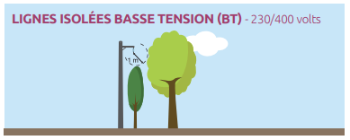 Les distances à respecter pour l'élagage des lignes isolées basse tension