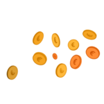 economies