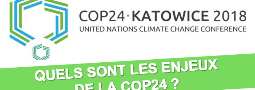 cop 24