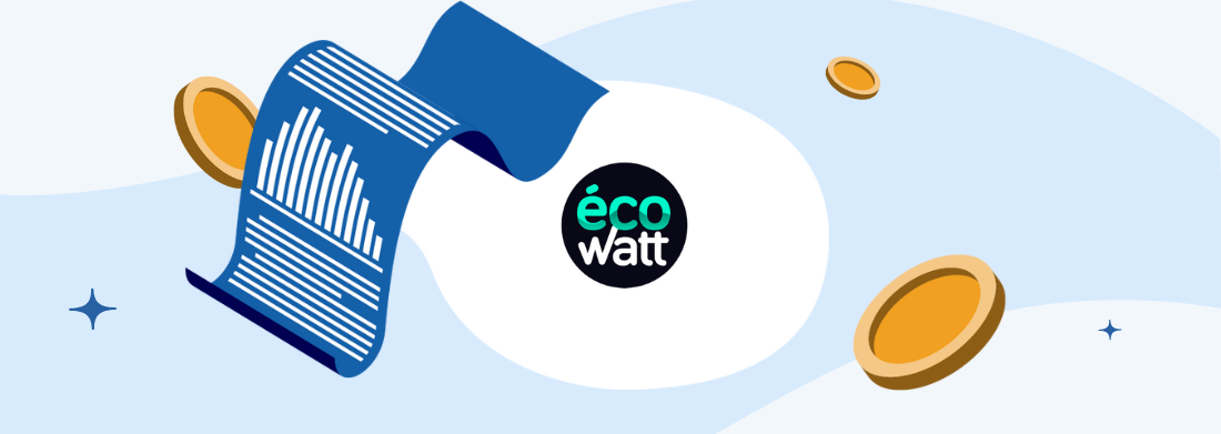 Ecowatt, la météo de l'électricité : où en est le réseau ?