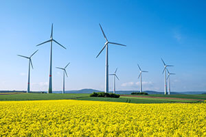 Eoliennes dans les champs