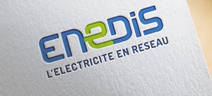 enedis logo