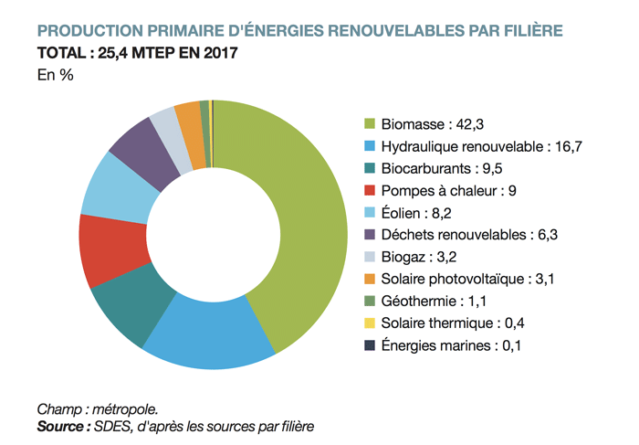 Production primaire d'énergie renouvelable par filiere