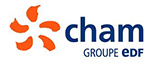 logo cham