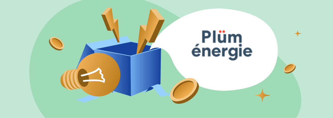 tarifs plum energie