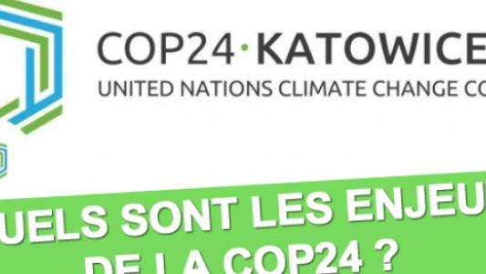 cop 24