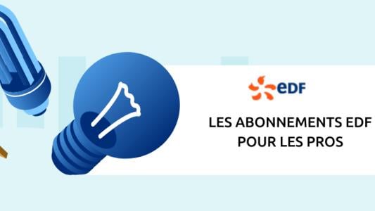 abonnement edf pro