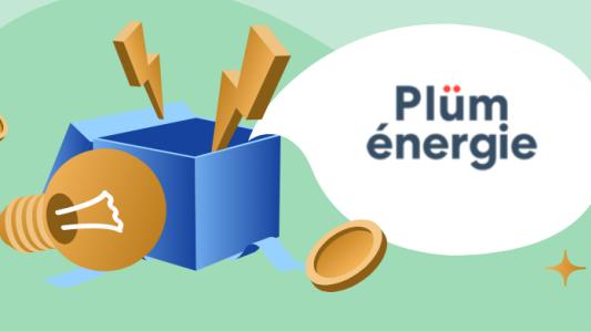 tarifs plum energie
